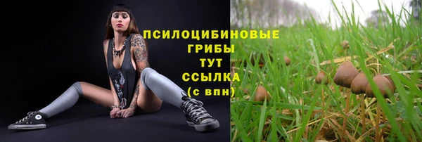 гашик Михайловка