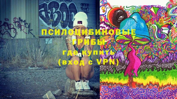 a pvp Белокуриха