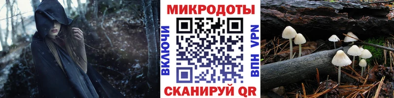 где найти наркотики Вихоревка Галлюциногенные грибы Psilocybe
